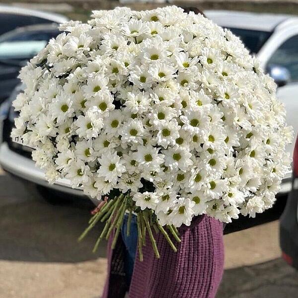Купить цветы в магазине в городе Рязань